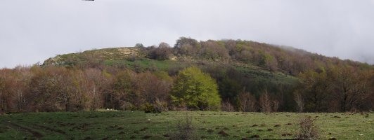 Arriedergain Ugagibeldik