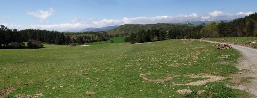 Erremendiako goi ordokia