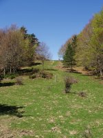 Bide seinalizatua Arbaxamendiko hegietan barrena