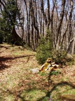 Borrokoxkoko gailurra