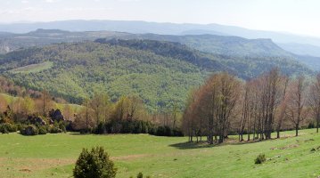 Aritzgaña Borrokoxkotik