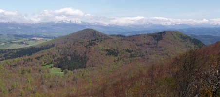 Menditxusia eta Araxamendi Borrokoxkotik