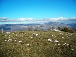 Etxarriko Portugañe 2  trikuharria