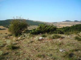 Alto de Irurbe 1 tumulua