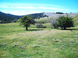 Sosaportillo mendebalde etxola hondoa