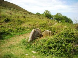Deskargahandiko Lepoa trikuharria