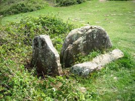 Deskargahandiko Lepoa trikuharria