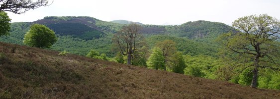 Urdanatz eta Apordoki Garbitzetik