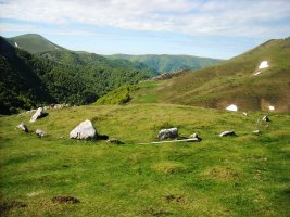 Millagate harrespilak