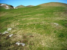 Ilharreko Ordokia II  harrespila