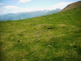 Organbideska harrespila