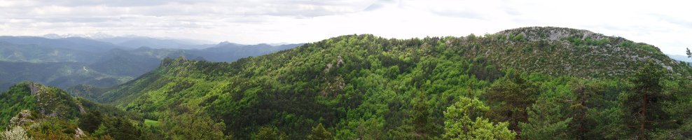 Alduko gandorrak Santa Agedatik