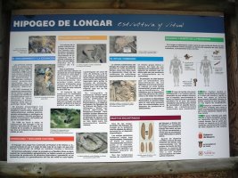 Longar