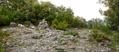 Oiakarizketako gailurra