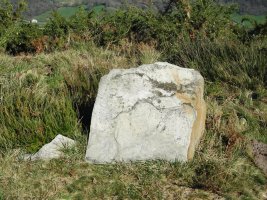 Gaztiñabakar IV   trikuharria