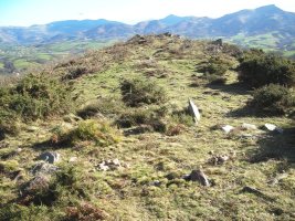 Gaztiñabakar IV   trikuharria