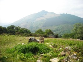 Faageko Erreka trikuharria