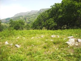 Faageko Erreka Hego   harrespila