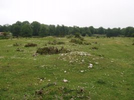 Arantzaduia, eremu tumularra