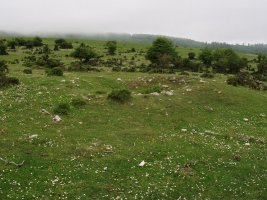 Arantzaduia, eremu tumularra