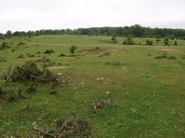 Balsas del Corral de Narciso