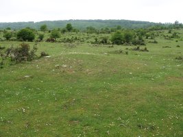Balsas del Corral de Narciso