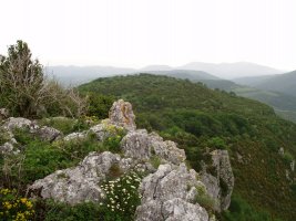 Lirain Artze gaineko labarretatik