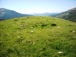 Loma de Chitón trikuharria