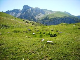 Loma de Chitón trikuharria