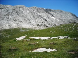 Solano de Ezkaurre  trikuharria