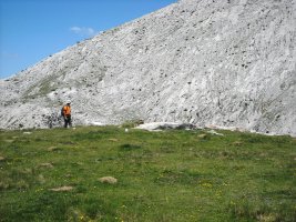 Solano de Ezkaurre trikuharria