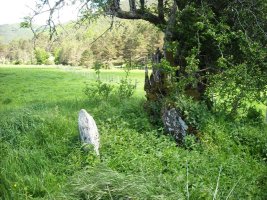 Lubrakieta trikuharria