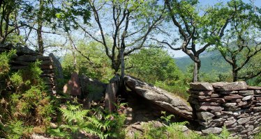 Otaltzu 1, Bertizko murruan sartuta