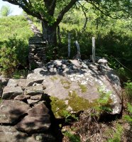 Otaltzu 1, Bertizko murruan sartuta