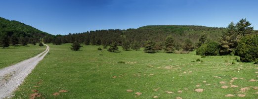 Aretako mendatea. Eskuinaldeko bizkar hori Baigura da.