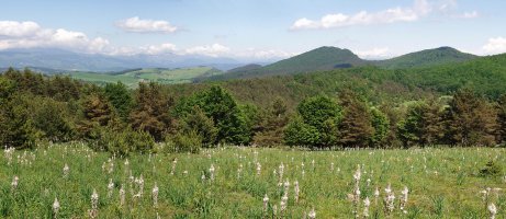 Panorama Erremendiako bidetik (Menditxusia eta Araxamendi ikusgai)