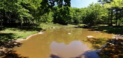 Bazter eder bat Urdinagako lepoan