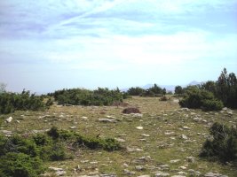 Mugartxondoa tumulo de anillo