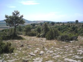 Larrola  tumulo de anillo