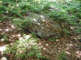 Errotarria Itursoro trikuharriaren ondoan.