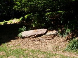 Motxorroko lepoko zutarria