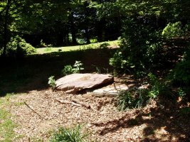 Motxorroko lepoko zutarria