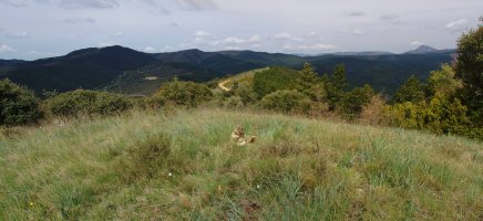 Azterain (beste mapa batzuetan Larrasoil) , 859m