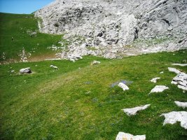 Ezpainpea etxola hondoa