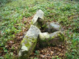 Añigurrita  trikuharria