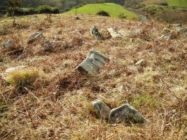 Galbario II  trikuharria