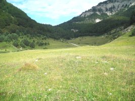 Fuente de los Clérigos 2 trikuharria