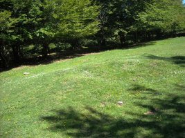 Menkain eremu tumularra