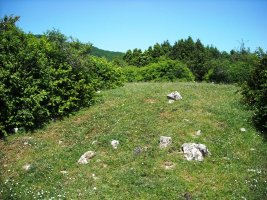 Zanaz  2  trikuharria