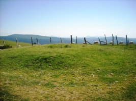 Mugarri  trikuharria